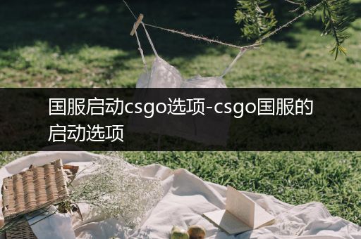 国服启动csgo选项-csgo国服的启动选项