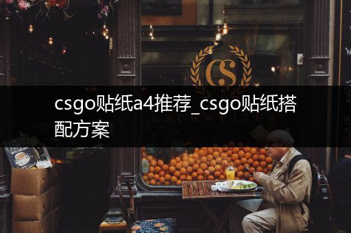 csgo贴纸a4推荐_csgo贴纸搭配方案