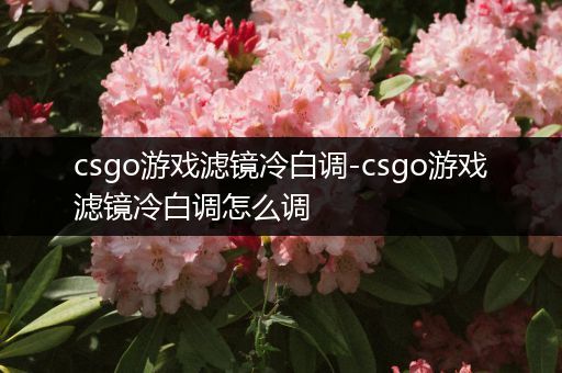 csgo游戏滤镜冷白调-csgo游戏滤镜冷白调怎么调