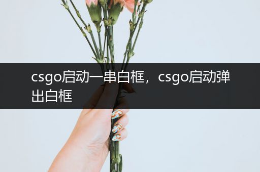 csgo启动一串白框，csgo启动弹出白框
