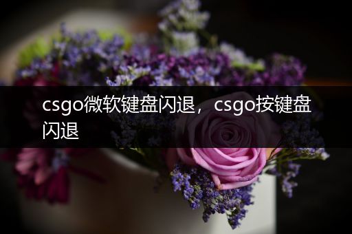 csgo微软键盘闪退，csgo按键盘闪退