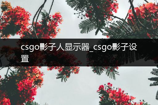 csgo影子人显示器_csgo影子设置