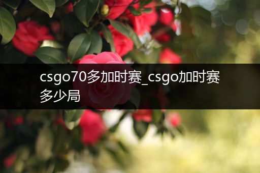csgo70多加时赛_csgo加时赛多少局