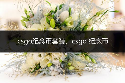 csgo纪念币套装，csgo 纪念币