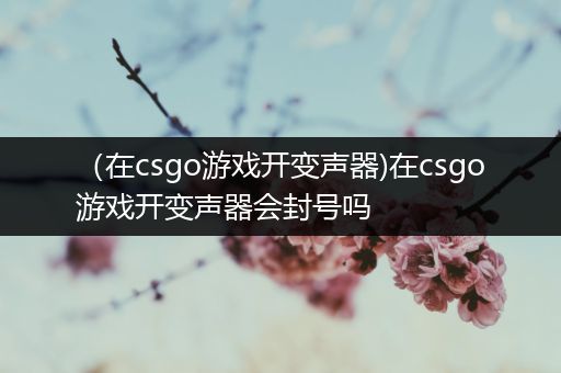 （在csgo游戏开变声器)在csgo游戏开变声器会封号吗