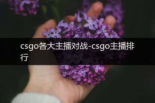csgo各大主播对战-csgo主播排行