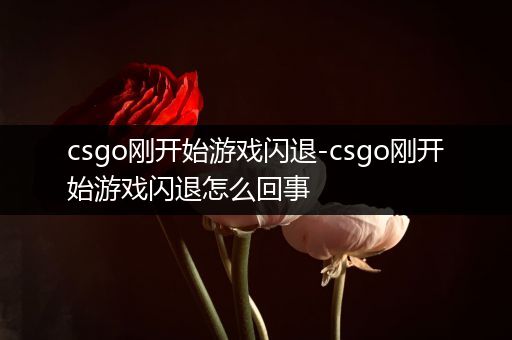 csgo刚开始游戏闪退-csgo刚开始游戏闪退怎么回事