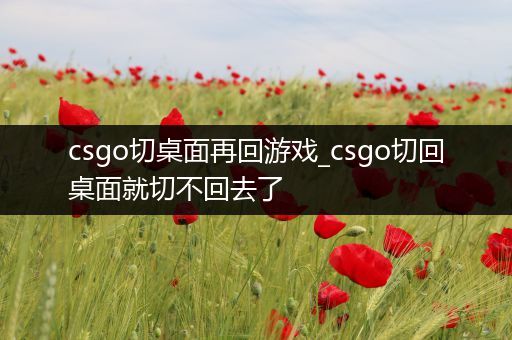 csgo切桌面再回游戏_csgo切回桌面就切不回去了