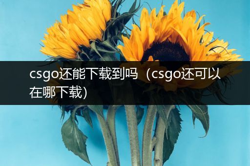 csgo还能下载到吗（csgo还可以在哪下载）