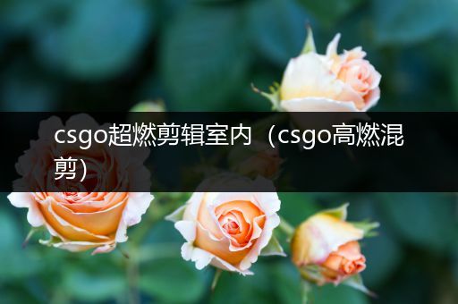 csgo超燃剪辑室内（csgo高燃混剪）