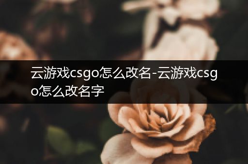 云游戏csgo怎么改名-云游戏csgo怎么改名字