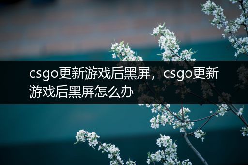 csgo更新游戏后黑屏，csgo更新游戏后黑屏怎么办