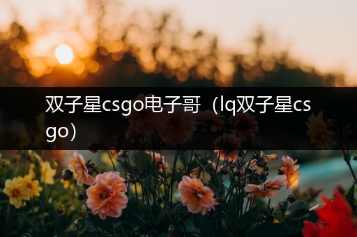 双子星csgo电子哥（lq双子星csgo）