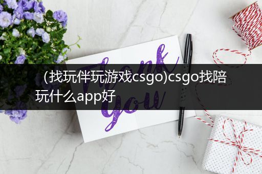 （找玩伴玩游戏csgo)csgo找陪玩什么app好