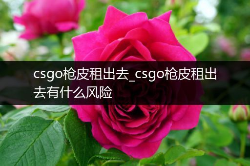 csgo枪皮租出去_csgo枪皮租出去有什么风险