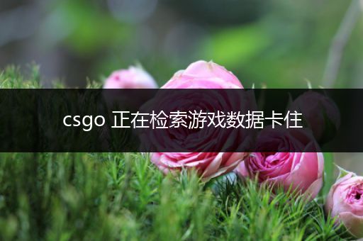 csgo 正在检索游戏数据卡住