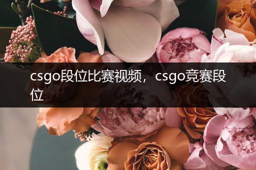 csgo段位比赛视频，csgo竞赛段位