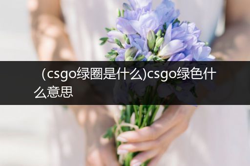 （csgo绿圈是什么)csgo绿色什么意思