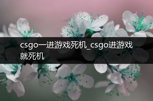 csgo一进游戏死机_csgo进游戏就死机