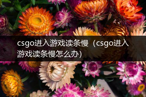 csgo进入游戏读条慢（csgo进入游戏读条慢怎么办）