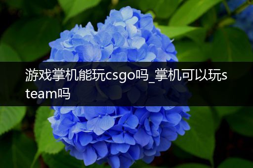 游戏掌机能玩csgo吗_掌机可以玩steam吗