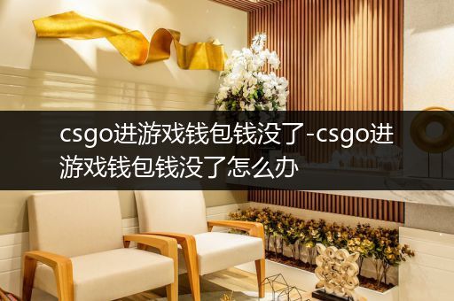 csgo进游戏钱包钱没了-csgo进游戏钱包钱没了怎么办