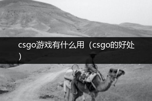 csgo游戏有什么用（csgo的好处）