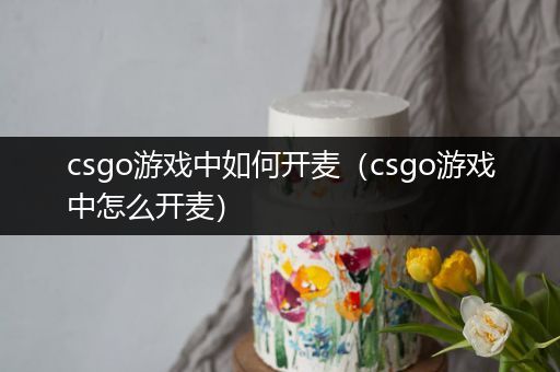 csgo游戏中如何开麦（csgo游戏中怎么开麦）