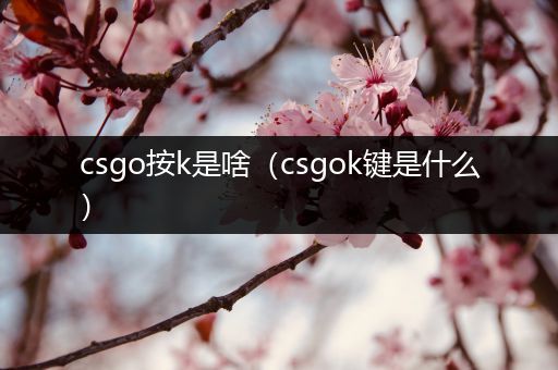 csgo按k是啥（csgok键是什么）