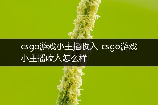 csgo游戏小主播收入-csgo游戏小主播收入怎么样