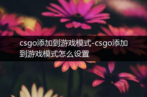csgo添加到游戏模式-csgo添加到游戏模式怎么设置