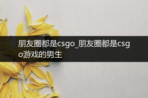 朋友圈都是csgo_朋友圈都是csgo游戏的男生