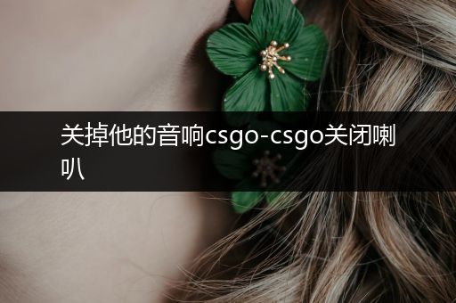 关掉他的音响csgo-csgo关闭喇叭