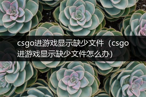 csgo进游戏显示缺少文件（csgo进游戏显示缺少文件怎么办）
