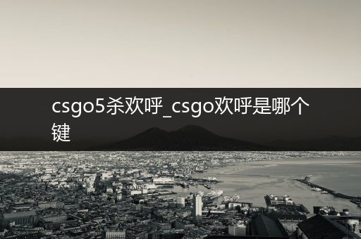 csgo5杀欢呼_csgo欢呼是哪个键