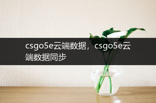 csgo5e云端数据，csgo5e云端数据同步