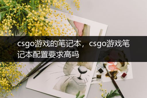 csgo游戏的笔记本，csgo游戏笔记本配置要求高吗