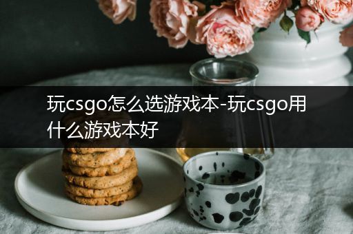 玩csgo怎么选游戏本-玩csgo用什么游戏本好