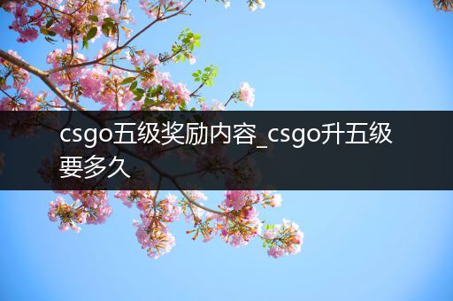 csgo五级奖励内容_csgo升五级要多久