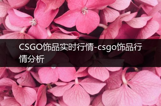 CSGO饰品实时行情-csgo饰品行情分析
