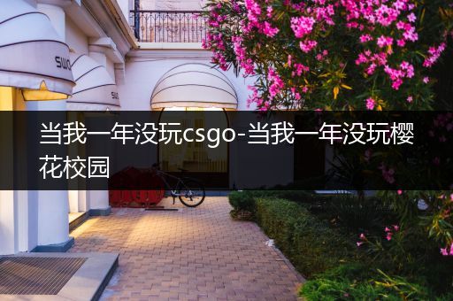 当我一年没玩csgo-当我一年没玩樱花校园