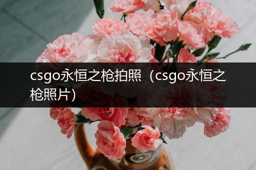 csgo永恒之枪拍照（csgo永恒之枪照片）