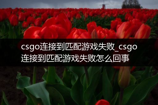 csgo连接到匹配游戏失败_csgo连接到匹配游戏失败怎么回事
