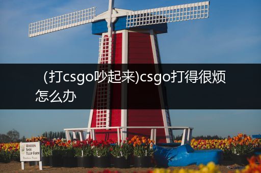 （打csgo吵起来)csgo打得很烦怎么办