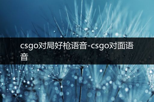 csgo对局好枪语音-csgo对面语音