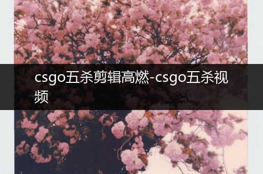 csgo五杀剪辑高燃-csgo五杀视频