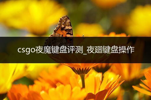 csgo夜魔键盘评测_夜廻键盘操作