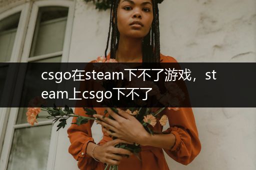 csgo在steam下不了游戏，steam上csgo下不了