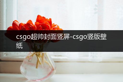 csgo超帅封面竖屏-csgo竖版壁纸