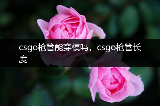 csgo枪管能穿模吗，csgo枪管长度
